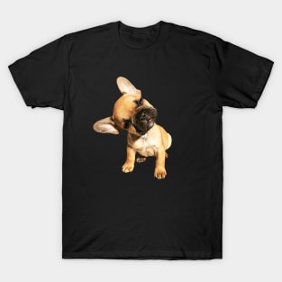 French Bulldog Cute Head Tilt T-Shirt